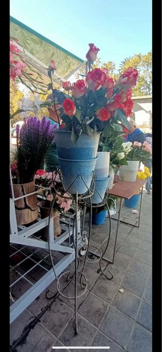 Alquiler/traspaso de floristeria en buena zona