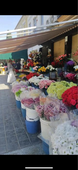 Alquiler/traspaso de floristeria en buena zona