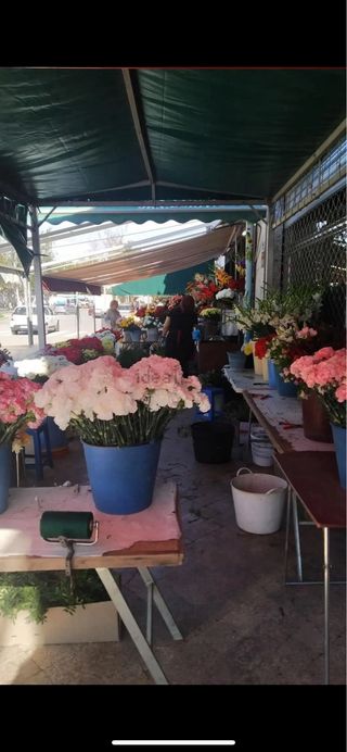 Alquiler/traspaso de floristeria en buena zona