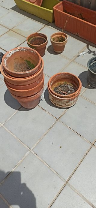 Macetas de Terracota - 11 piezas