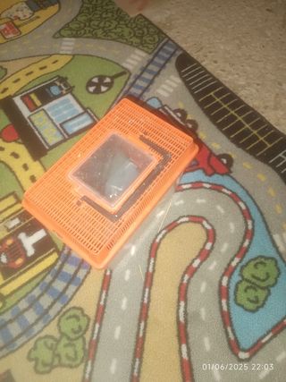 Pecera pequeña naranja