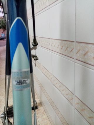 Bicicleta carretera aluminio F. Moser