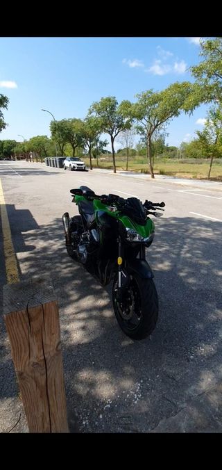 Kawasaki Z900 - 2019