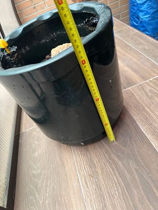 Maceta autorriego con ruedas