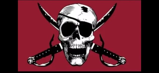 ☠️Bandera pirata☠️
Nueva
