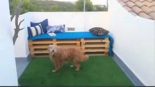 Vacaciones Peñiscola Casa del mar