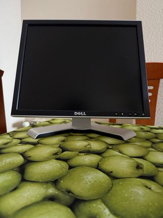 Monitor Dell 17"