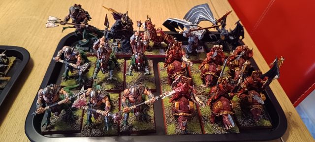 Ejército Warhammer: Guerreros del Caos (leer descr