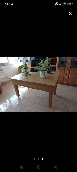 Mesa Salón