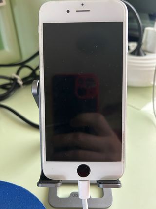 iPhone 6 Plata y Blanco