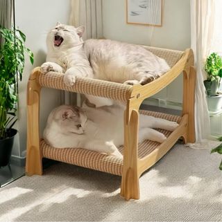 Nuovo ancora non imballato da montare Sdraio