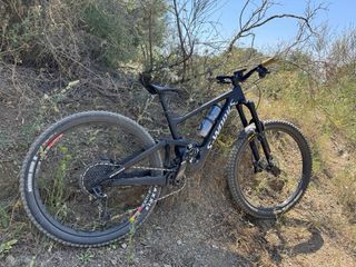 Bicicleta Specialized Enduro SWorks S3 (Talla M)