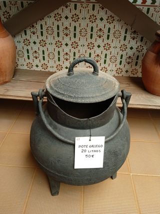 Pote Gallego