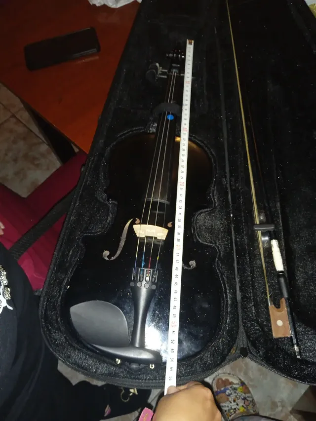 Violín negro brillante