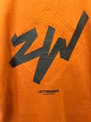 Sudadera JORDAN con capucha