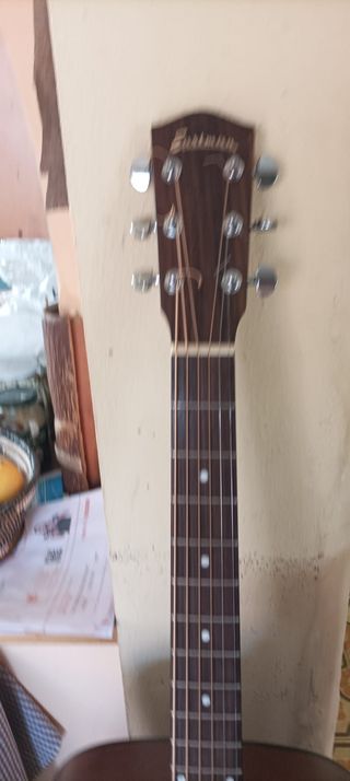 Guitarra Eastman AC120