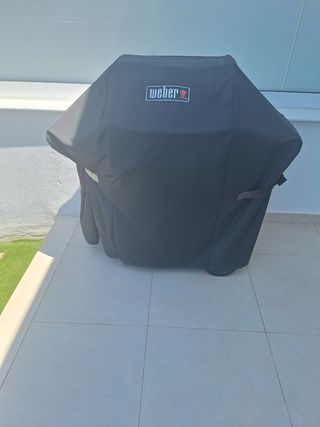 Weber Spirit - Barbecue a gas 2 fuochi