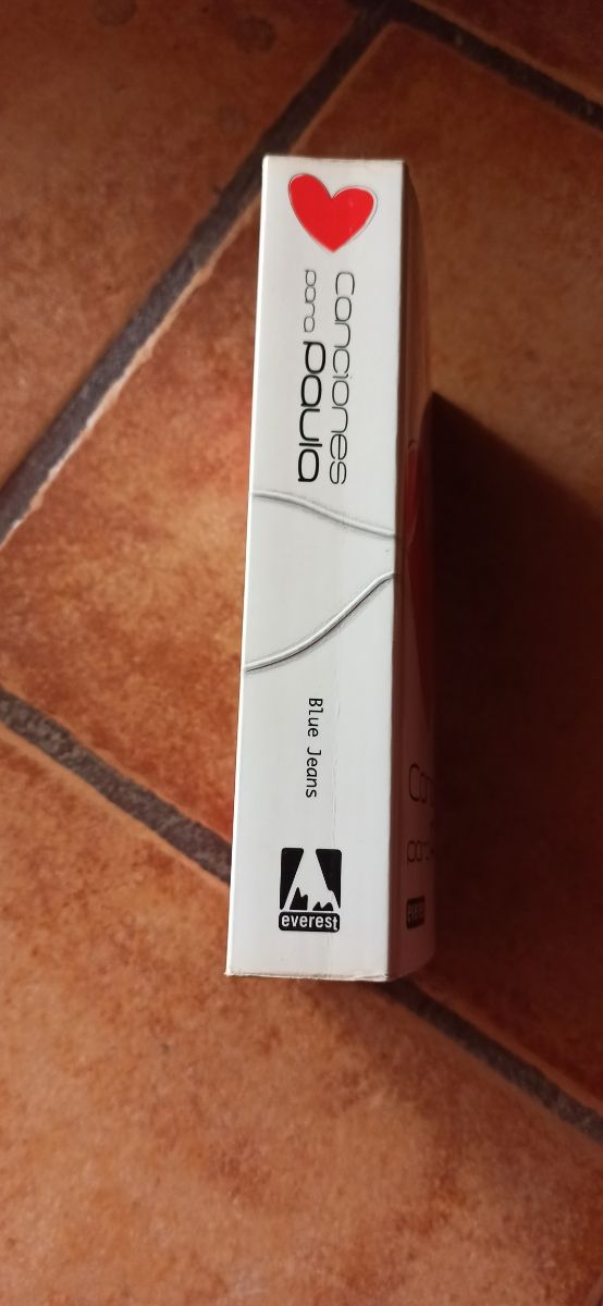 Canciones para Paula (Spanish Edition)