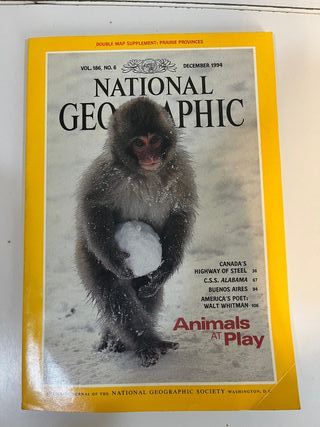 4 Revistas National Geographic