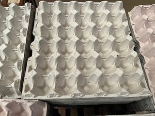 400 Hueveras cartón de 25 unidades