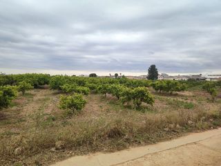 Terreno  en Alcasser