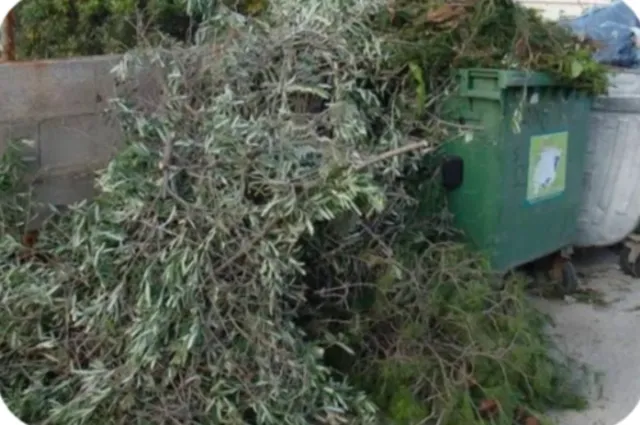 •Limpieza y retirada de Poda y Troncos d todo tipo