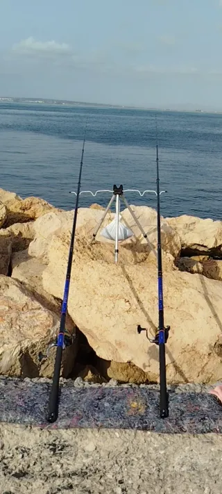 Vendo SET 3 Cañas  Carbono PESCA