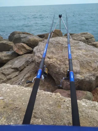 Vendo SET 3 Cañas  Carbono PESCA