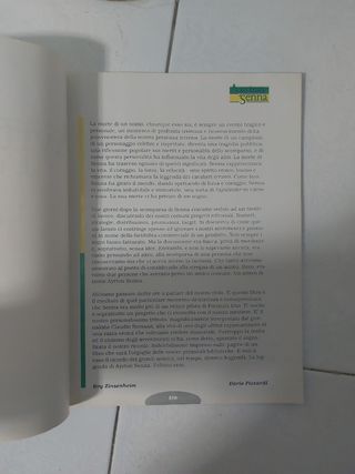 Ayrton Senna - L'ultimo eroe