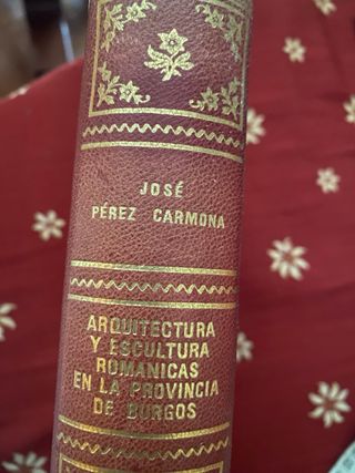 LIBRO ROMANICO PROVINCIA BURGOS ED LIMITADA