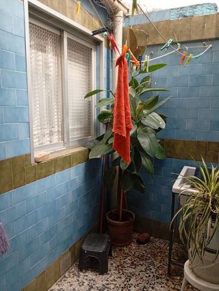 Piso 50m² zona Plaza de Toros. Amueblado