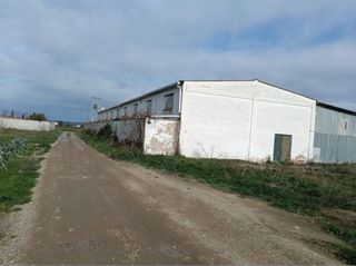 Nave agrícola 750m2