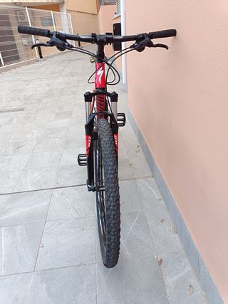 Specialized rockhopper 29'