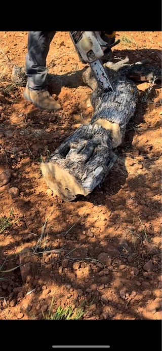 Se vende leña de olivo. 0,14 Centimos.