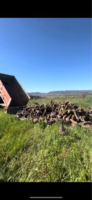 Se vende leña de olivo. 0,14 Centimos.