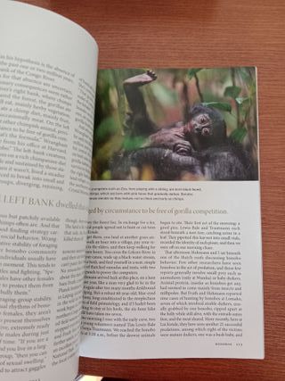 Lote de 7 revistas de National Geographic