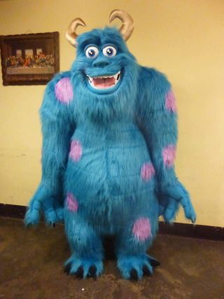 Disfraz Sulley Monstruos 654544615