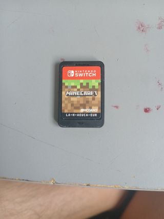 Minecraft nintedo switch