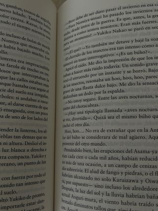 La casa de verano. Libro Nuevo