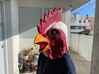 Máscara gallo - Carnaval
