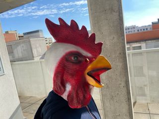 Máscara gallo - Carnaval