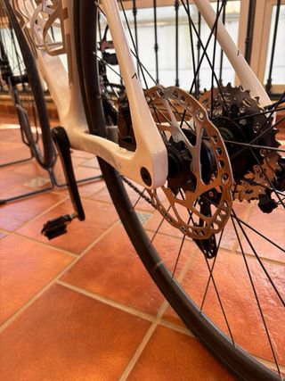 Bicicleta MMR Carbono 2024