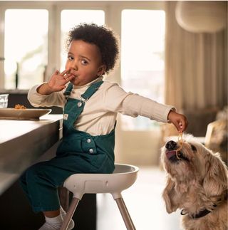 Trona evolutiva 4 en 1 - Bebé