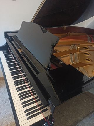 Piano de Cola Profesional CON GARANTÍA 7 años
