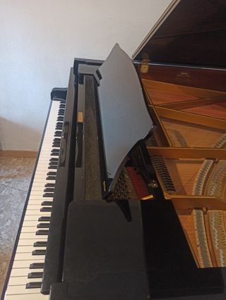 Piano de Cola Profesional CON GARANTÍA 7 años