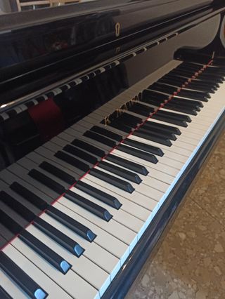 Piano de Cola Profesional CON GARANTÍA 7 años