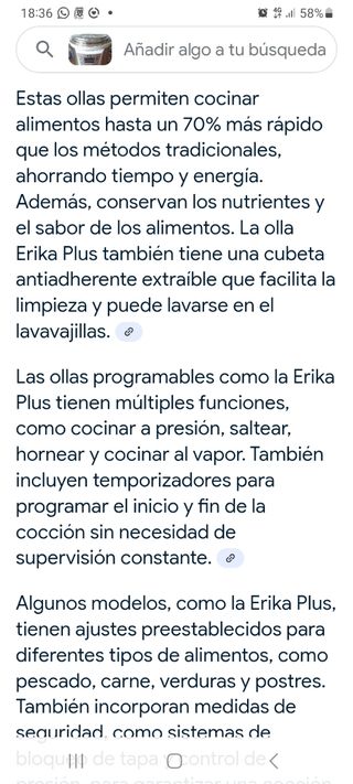 Olla eléctrica Erika Plus programable