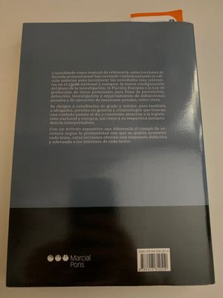 Lecciones de Derecho procesal penal. 13ª ed.