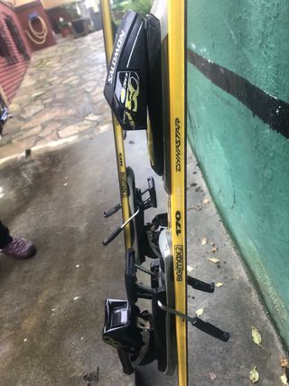 Eskis alpino