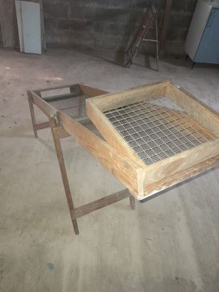 Cribador aceitunas antiguo